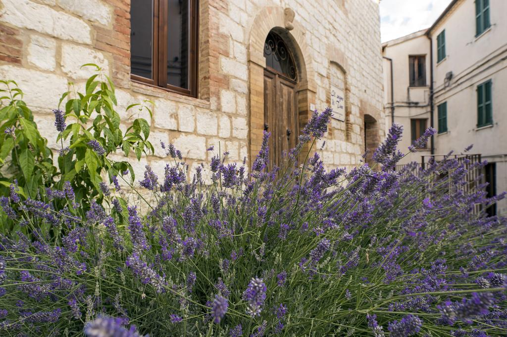 Il Sogno Di Tino Βίλα Cabernardi Εξωτερικό φωτογραφία